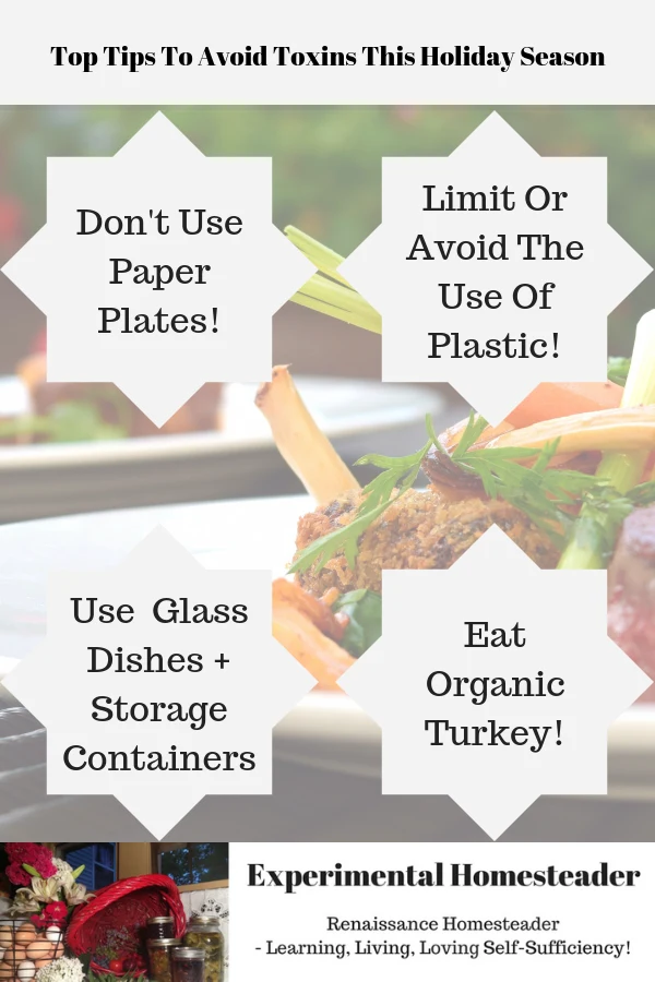 Food in the background with the four main tips to avoid toxins tis holiday season highlighted.
