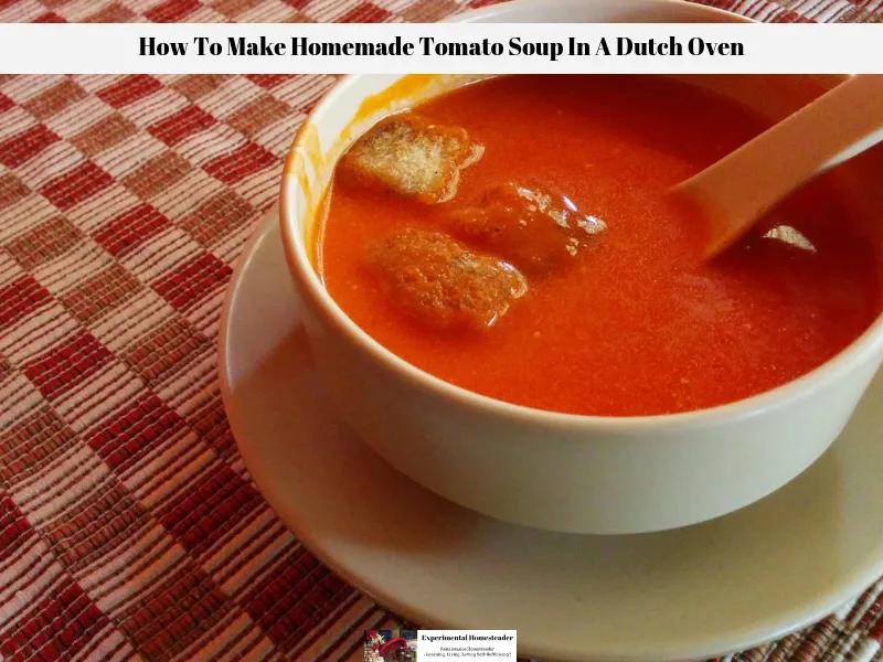 A bowl of freshly made tomato soup with croutons in a bowl on a table.