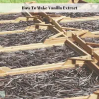 How To Make Homemade Vanilla Extract