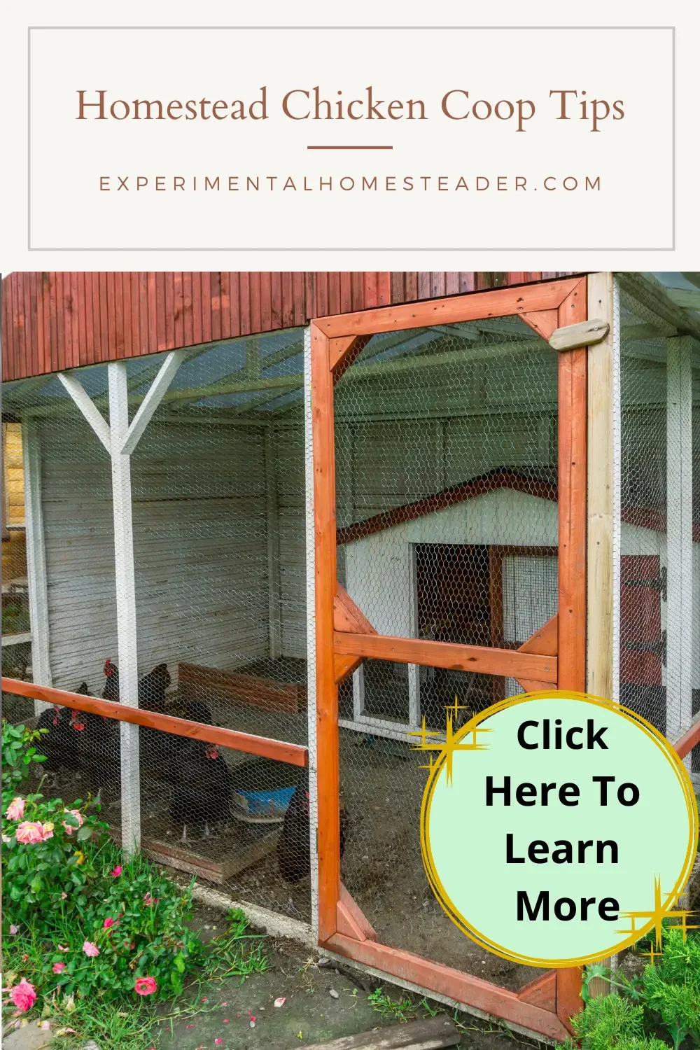 Homestead Chicken Coop Tips