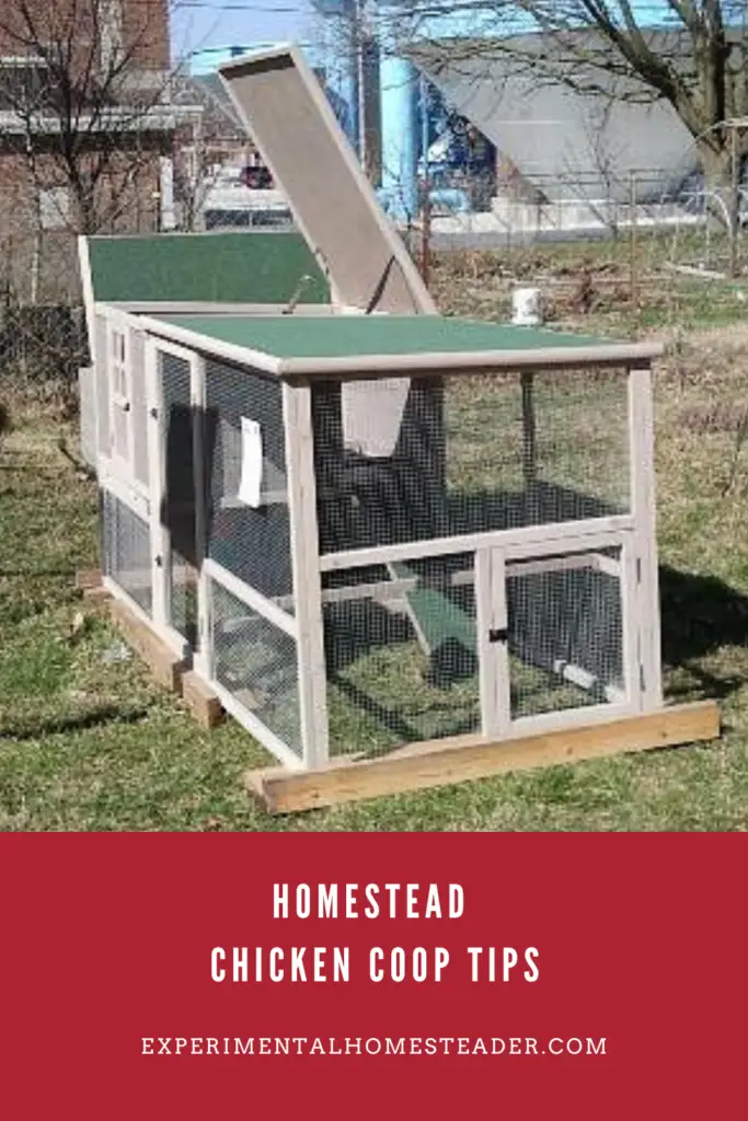 Build the Perfect Homestead Chicken Coop: Tips & Tricks - Experimental ...