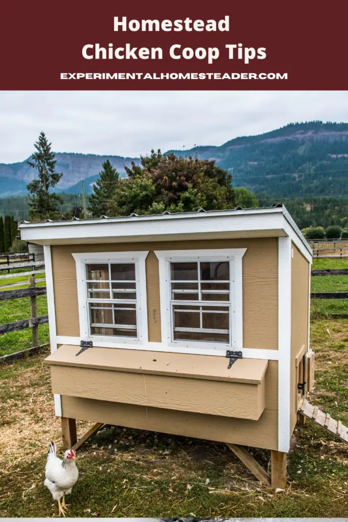 Build the Perfect Homestead Chicken Coop: Tips & Tricks - Experimental ...