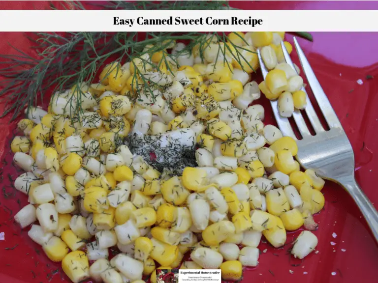 Freshlike Selects Gold & White Corn on a red plate with a sprig of dill weed off to the side and fresh dill weed plus butter on the corn.