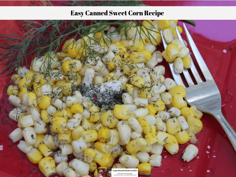 Freshlike Selects Gold & White Corn on a red plate with a sprig of dill weed off to the side and fresh dill weed plus butter on the corn.