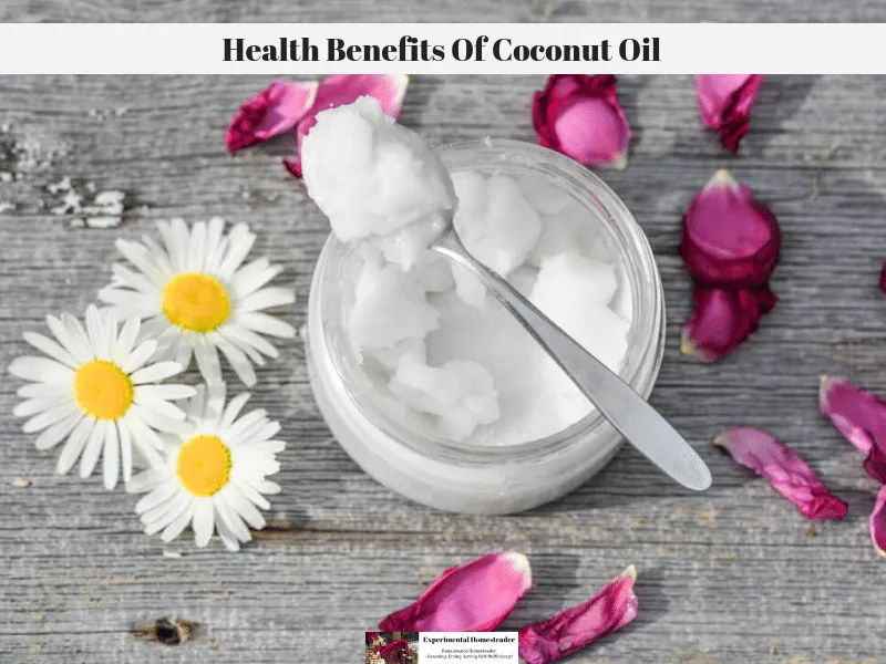 A jar of coconut oil with a spoonful laying on top of the jar. Daisies and rose petals are laying on the table around the edge of the jar of coconut oil.