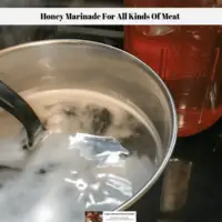 Honey Marinade For All Kinds Of Meat