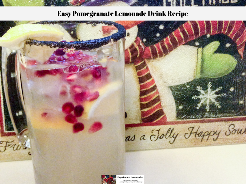 A glass filled with this easy pomegranate lemonade drink recipe.