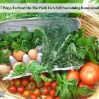 7 Ways To Start On The Path To A Self Sustaining Homestead