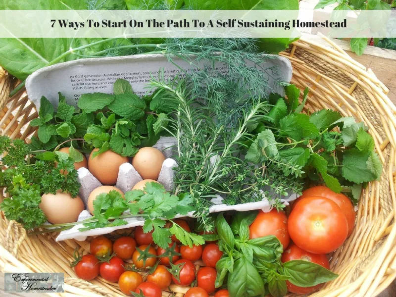 Brown eggs, vegetables and herbs in a basket.