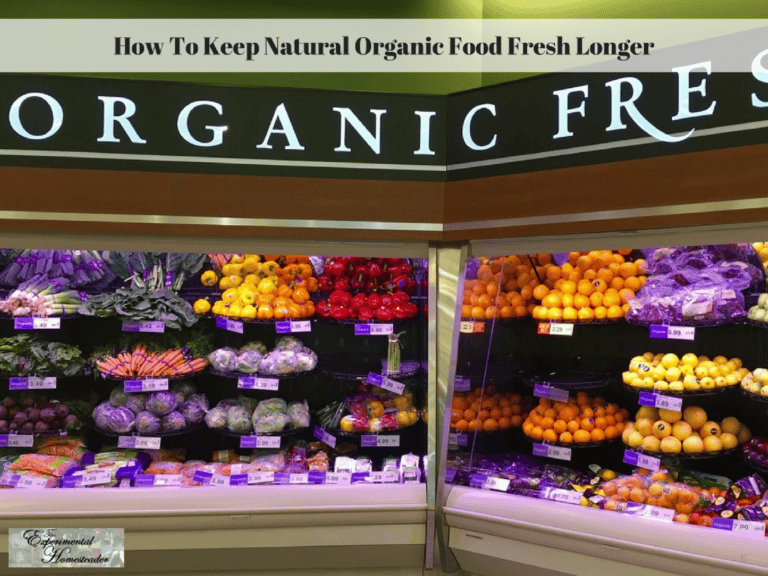 Fresh organic fruits display in grocery store Refrigerated produce section.