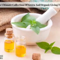 The Ultimate Collection Of Green And Organic Living Tips