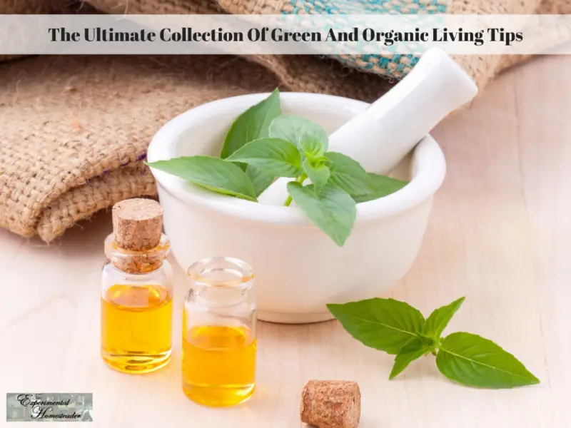 Herbs and bottles of oil sitting around a mortar and pestle.