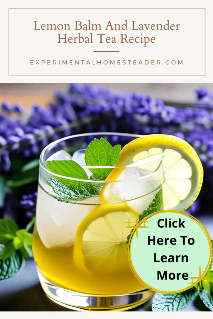 Lemon Balm And Lavender Herbal Tea Recipe Experimental Homesteader