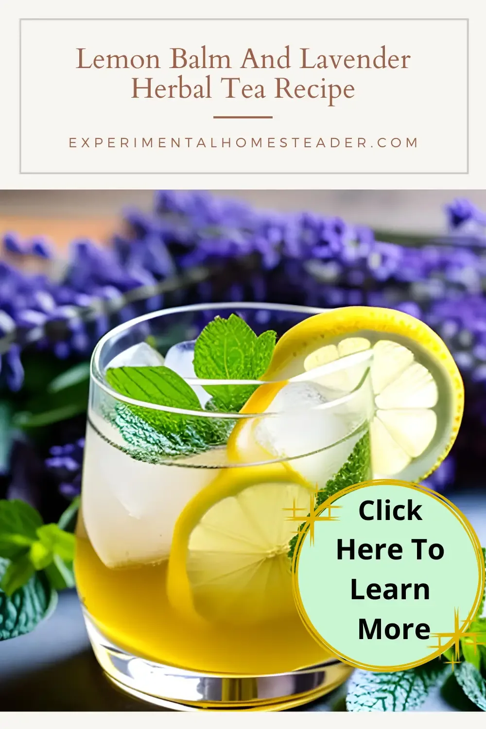Ice tea in a pitcher and in a glass with ice, lemon slices and lemon balm. Lavender in the background.