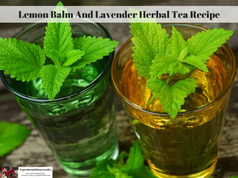 Ice tea in a pitcher and in a glass with ice, lemon slices and lemon balm.