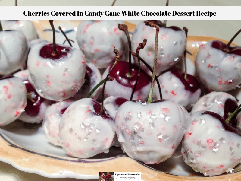 White candy cane covered chocolate cherries with edible silver stars sitting on a plate.
