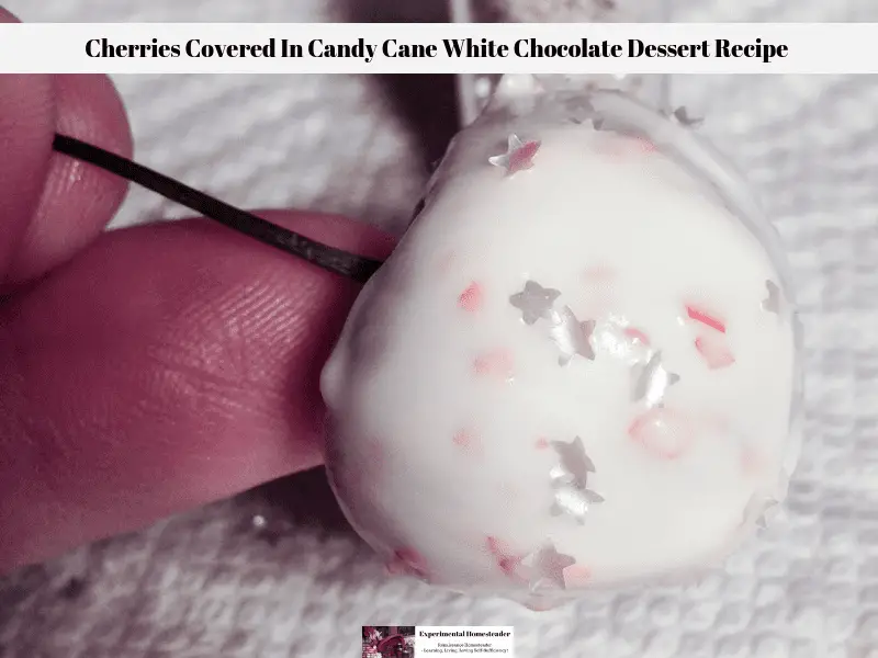 White chocolate covered cherries being sprinkled with edible silver star glitter to create this chocolate dessert recipe.
