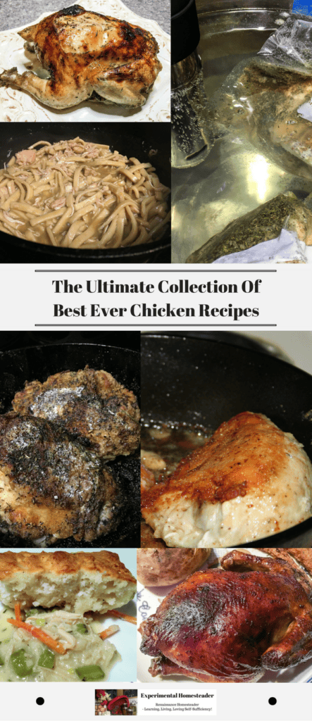 The Ultimate Collection Of Best Ever Chicken Recipes - Experimental ...