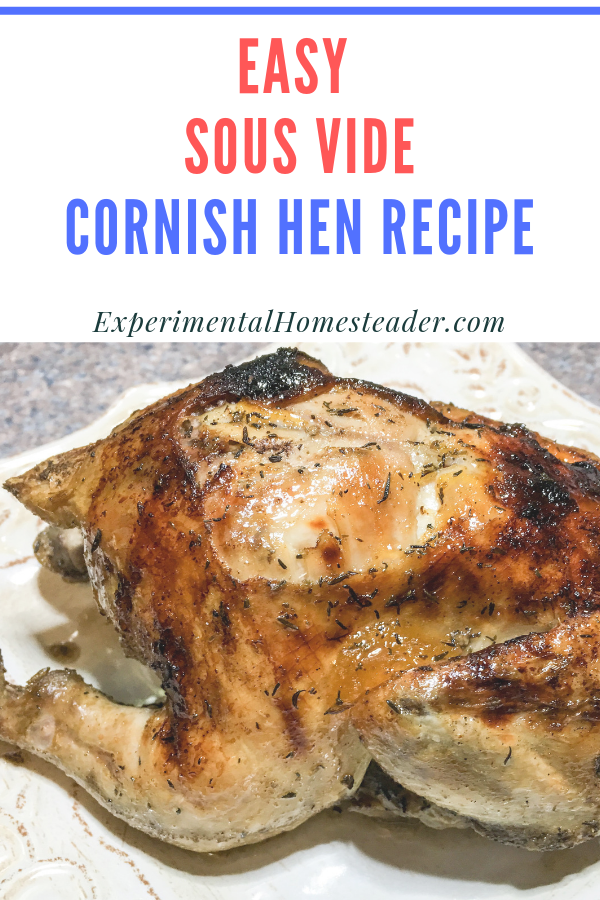 A completely cooked Cornish hen with a crisp skin resting on a plate.