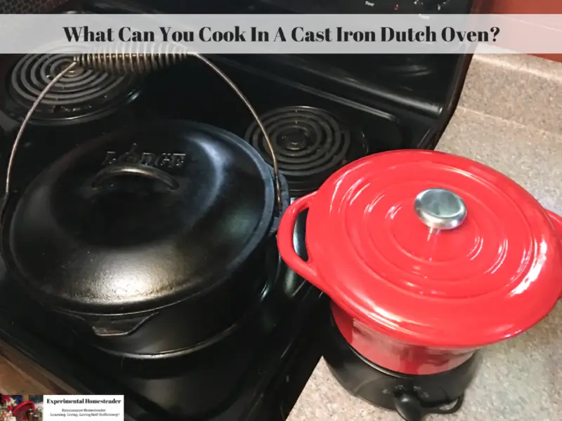 A Lodge 5 quart cast iron dutch oven and a cast iron crock pot sitting side by side on my stove.