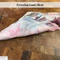 Freezing Goats Meat