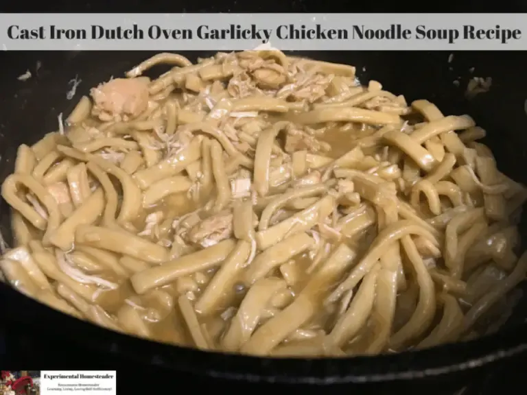 Chicken noodle soup in a cast iron dutch oven.