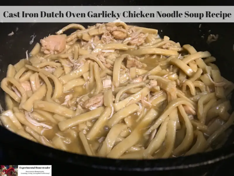 Chicken noodle soup in a cast iron dutch oven.