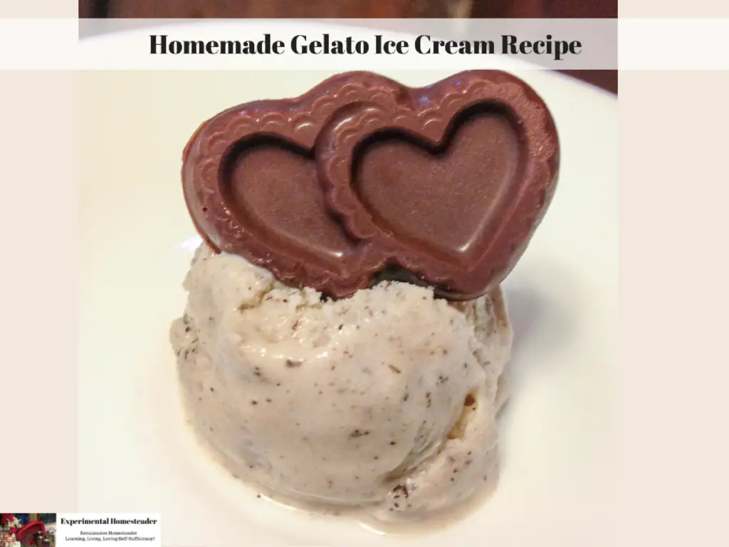 Homemade Gelato Ice Cream Recipe Experimental Homesteader