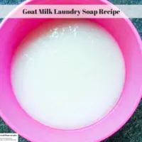 Goat Milk Laundry Soap Recipe