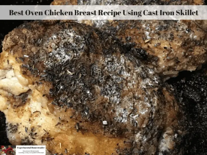 Fried Chicken Cast Iron Skillet Recipe Experimental Homesteader