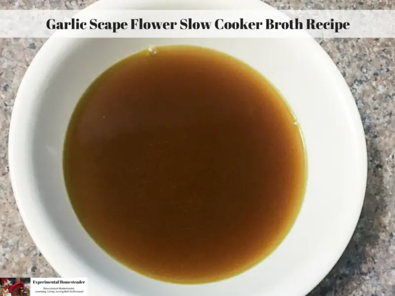 Broth made with garlic scape flowers in a bowl.