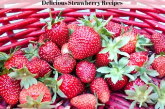 Fresh picked strawberries in a red wicker basket.