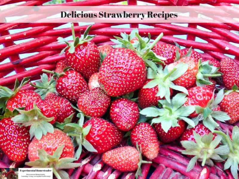 Fresh picked strawberries in a red wicker basket.