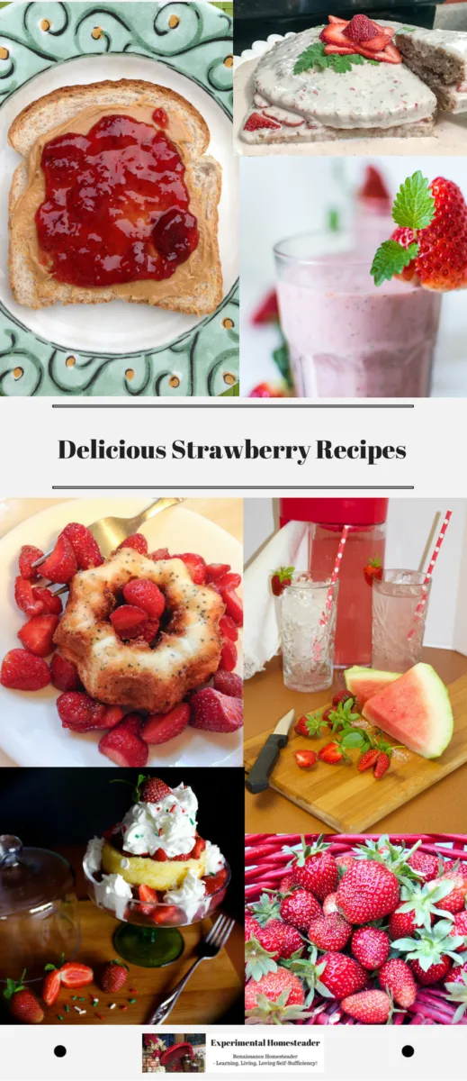An array of strawberry recipes.
