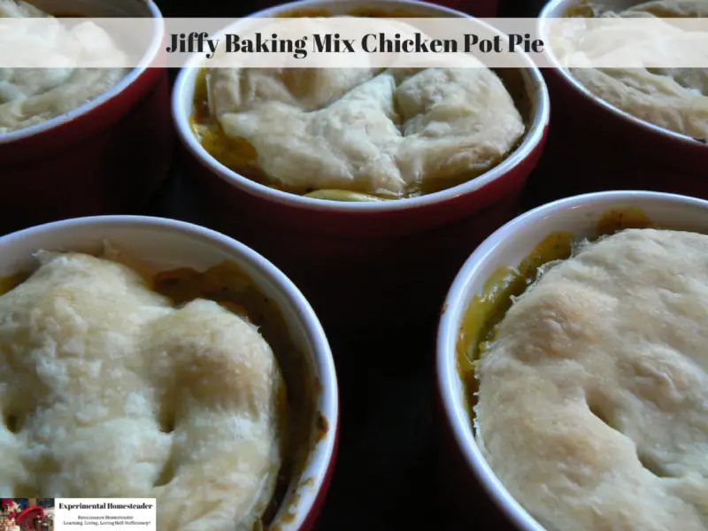 Individual chicken pot pies.