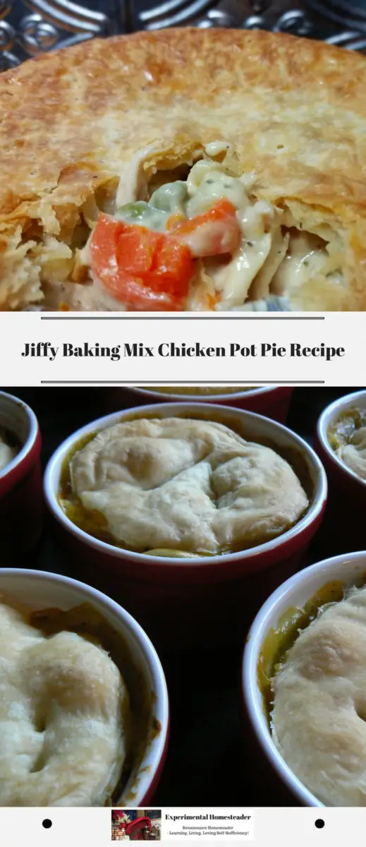 Jiffy Baking Mix Chicken Pot Pie Recipe - Experimental 