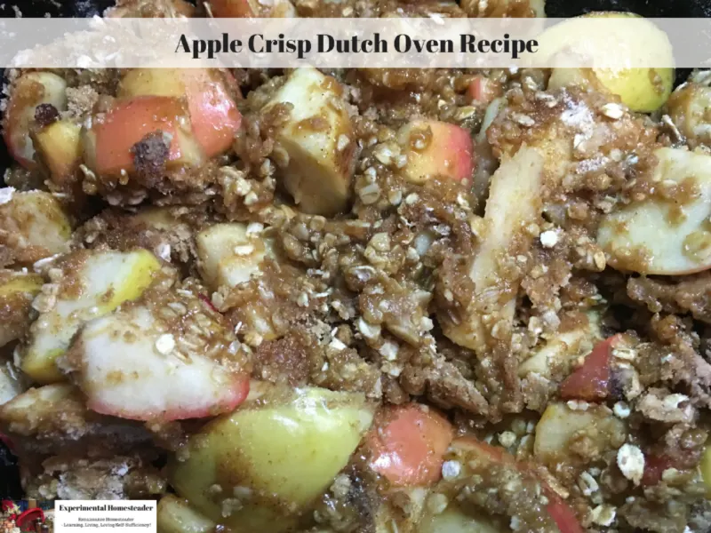 Apple Crisp in a cast iron dutch oven.