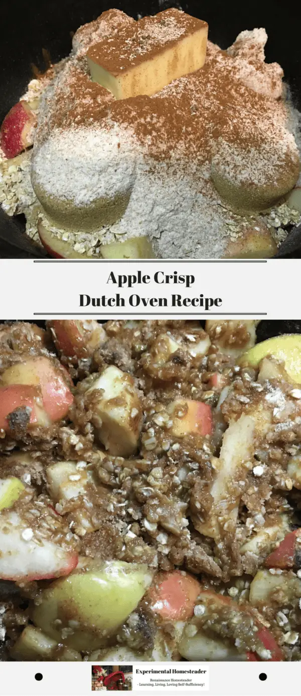 Apple Crisp Dutch Oven Recipe Experimental Homesteader