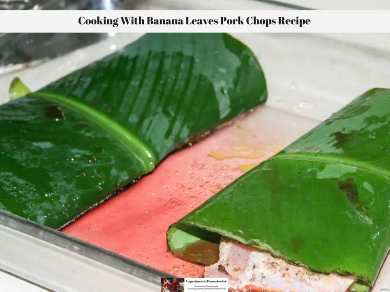 Banana Leaf wrapped Pork : r/webergrills
