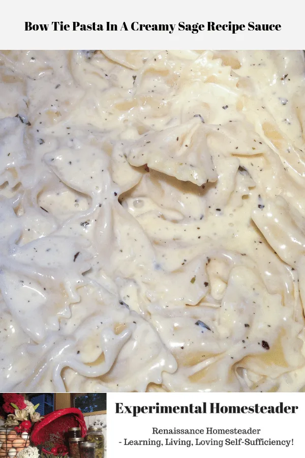 Bow tie pasta in a creamy sage sauce.