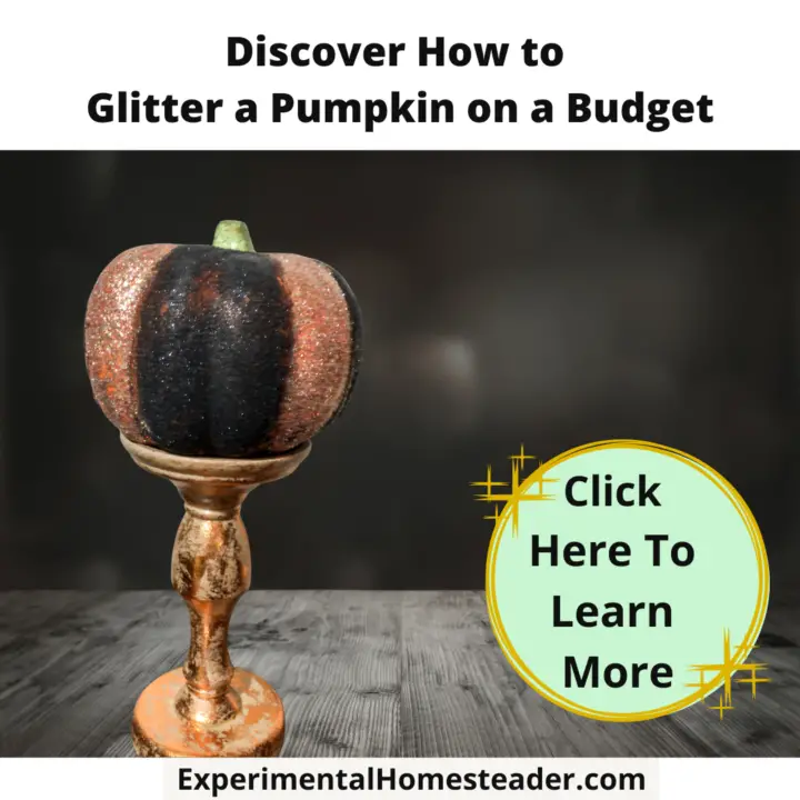 How To Glitter A Pumpkin