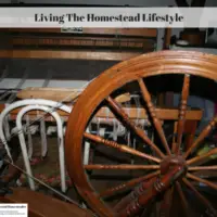 Living The Homestead Lifestyle