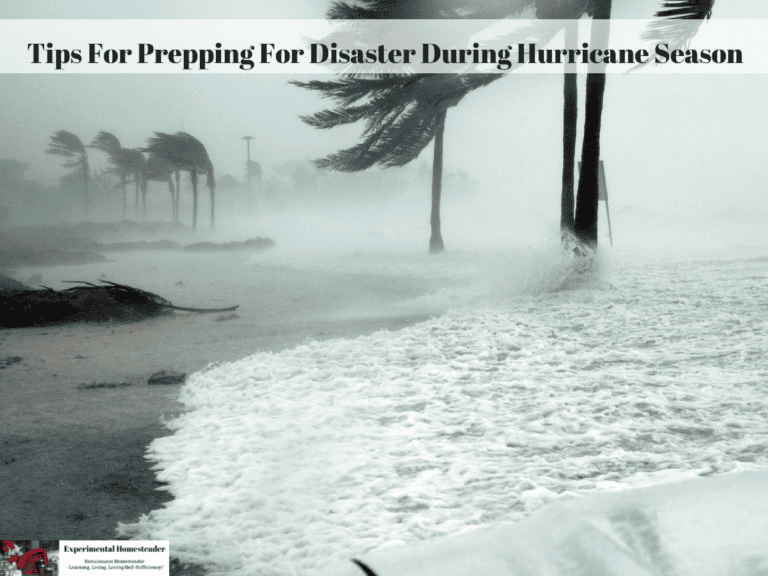 Prepping for hurricane season disaster preparedness tips for homesteaders and sustainable living.