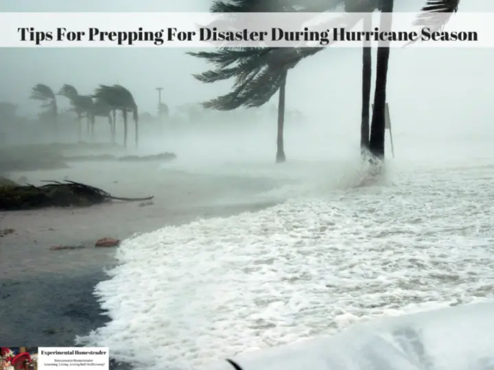 Tips For Prepping For Disaster During Hurricane Season Experimental Tips For Prepping For Disaster During Hurricane Season Experimental
