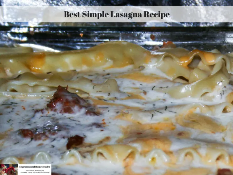 Baked lasagna in a 13 x 9 glass pan.