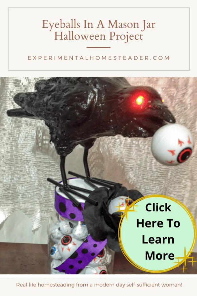 Eyeballs In A Mason Jar Halloween Project Experimental Homesteader
