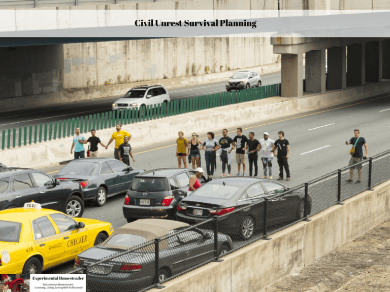 People protesting on busy highway for civil unrest survival planning.