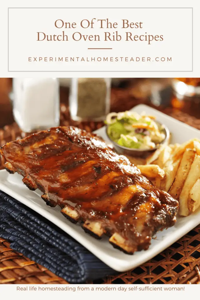 One Of The Best Dutch Oven Rib Recipes Experimental Homesteader