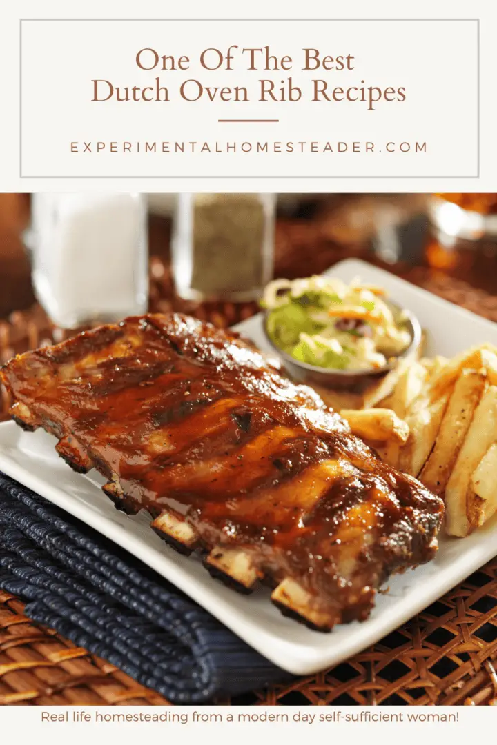 One Of The Best Dutch Oven Rib Recipes Experimental Homesteader