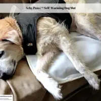 Achy Paws™ Self-Warming Dog Mat